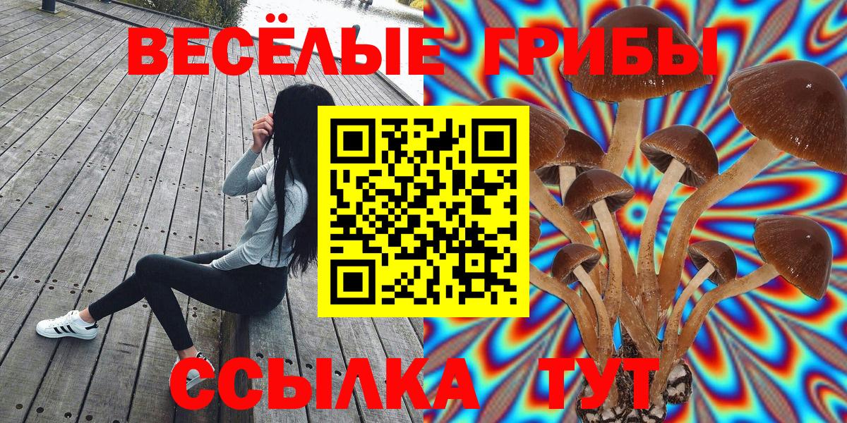 Новочебоксарск  Псилоцибиновые грибы мухоморы  Вход с VPN  Псилоцибиновые грибы ЛСД 